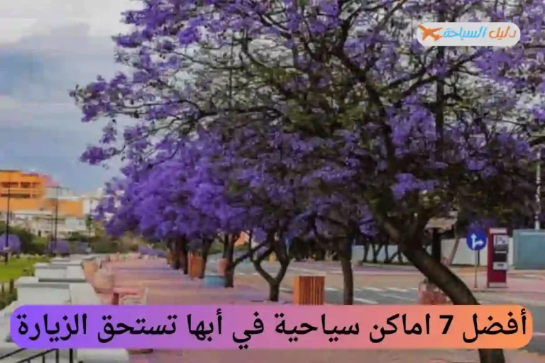 اماكن سياحية في أبها